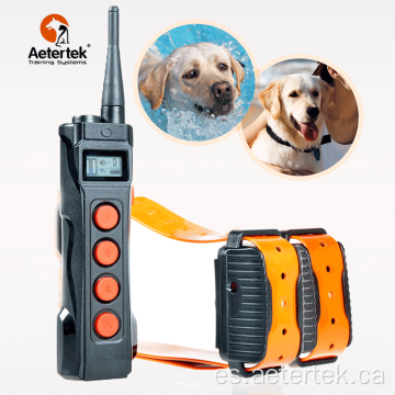 Aetertek AT-919C collar de entrenamiento de parada de corteza 2 receptores